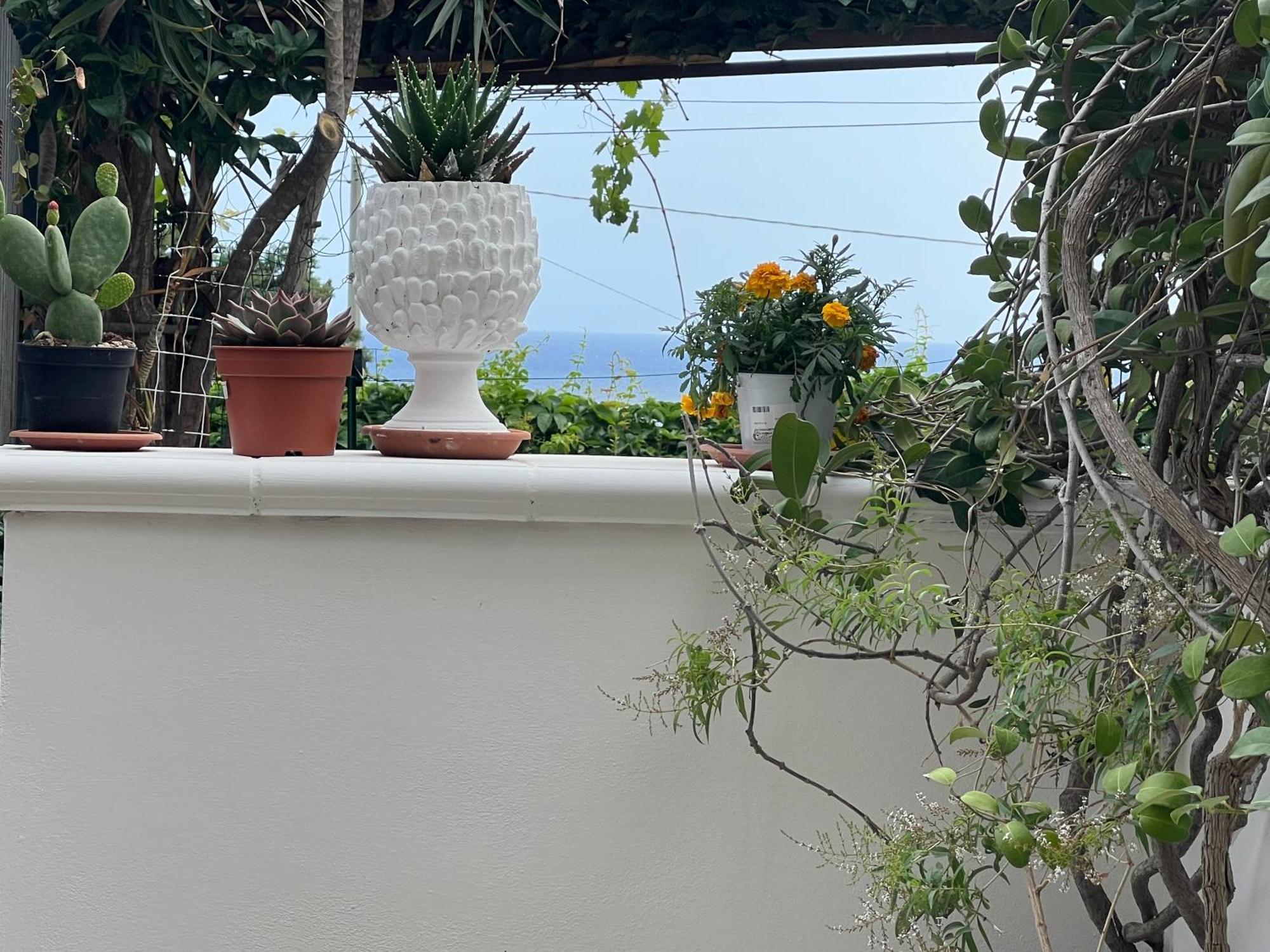 La Casa Dei Ciocio Villa เชฟาลู ภายนอก รูปภาพ