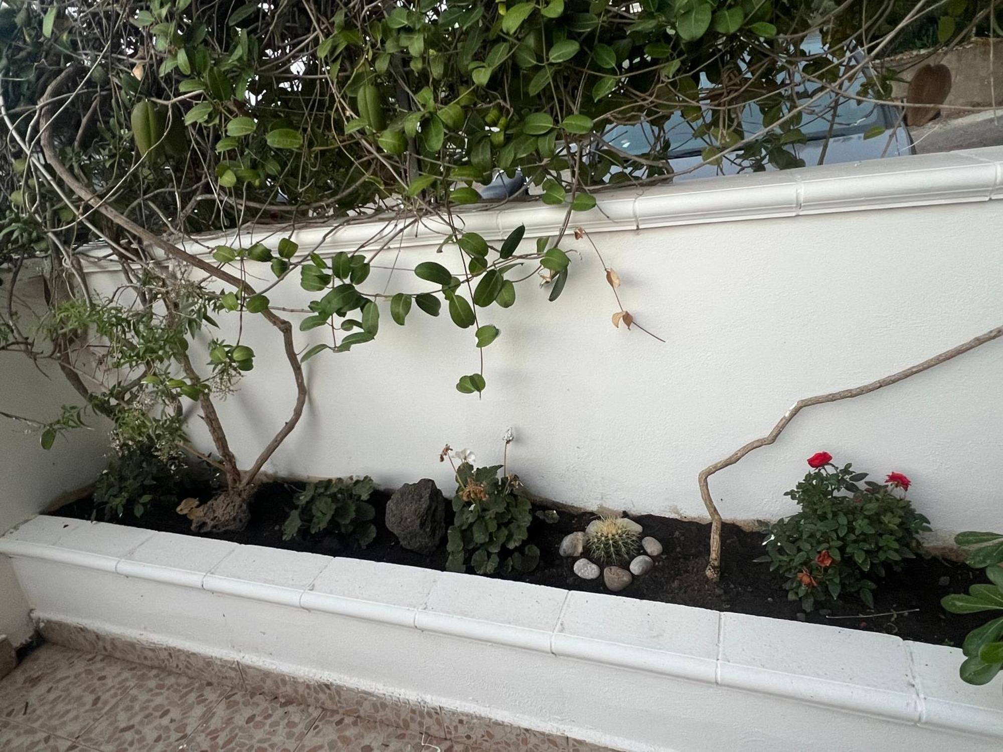 La Casa Dei Ciocio Villa เชฟาลู ภายนอก รูปภาพ
